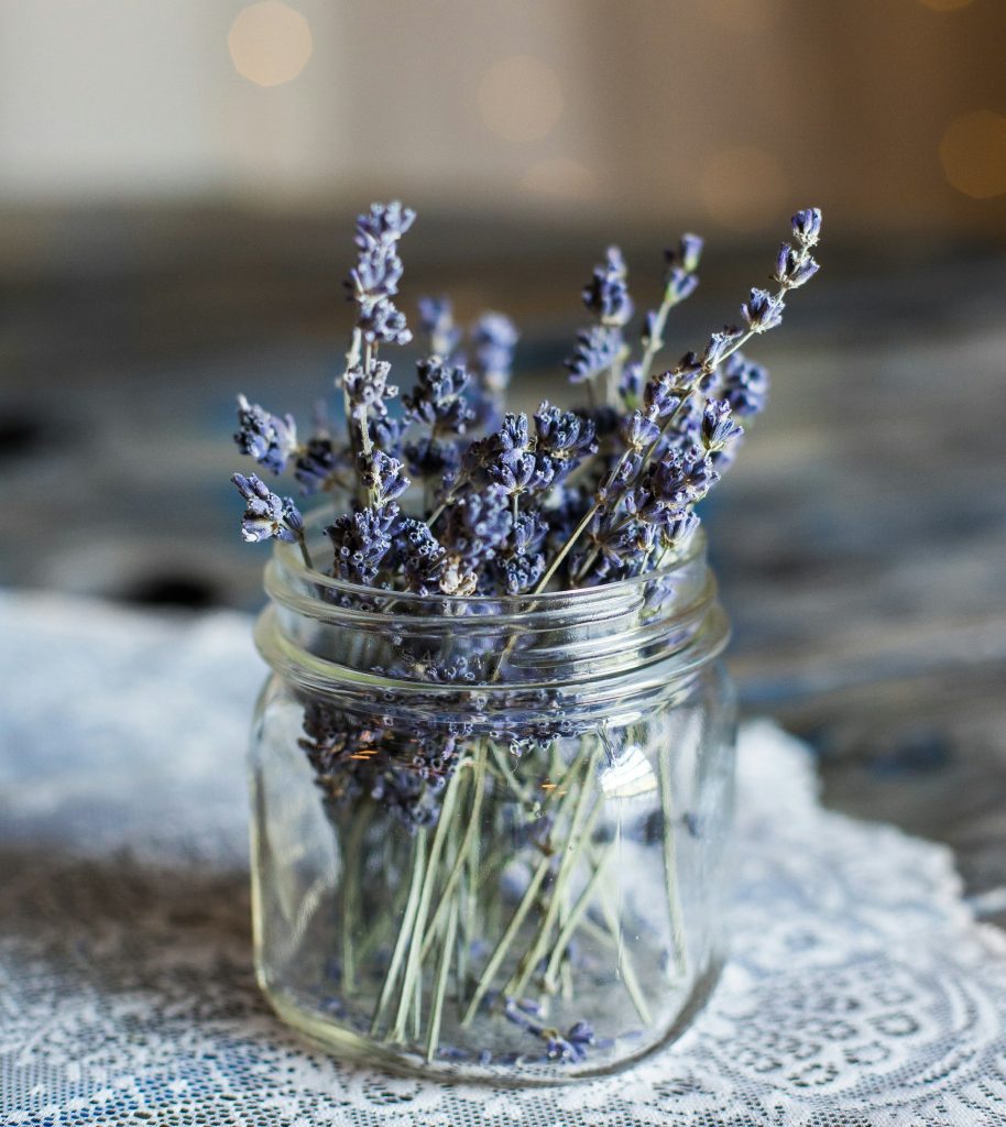 lavendel lavender